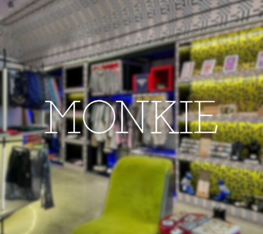 Monkie Concept